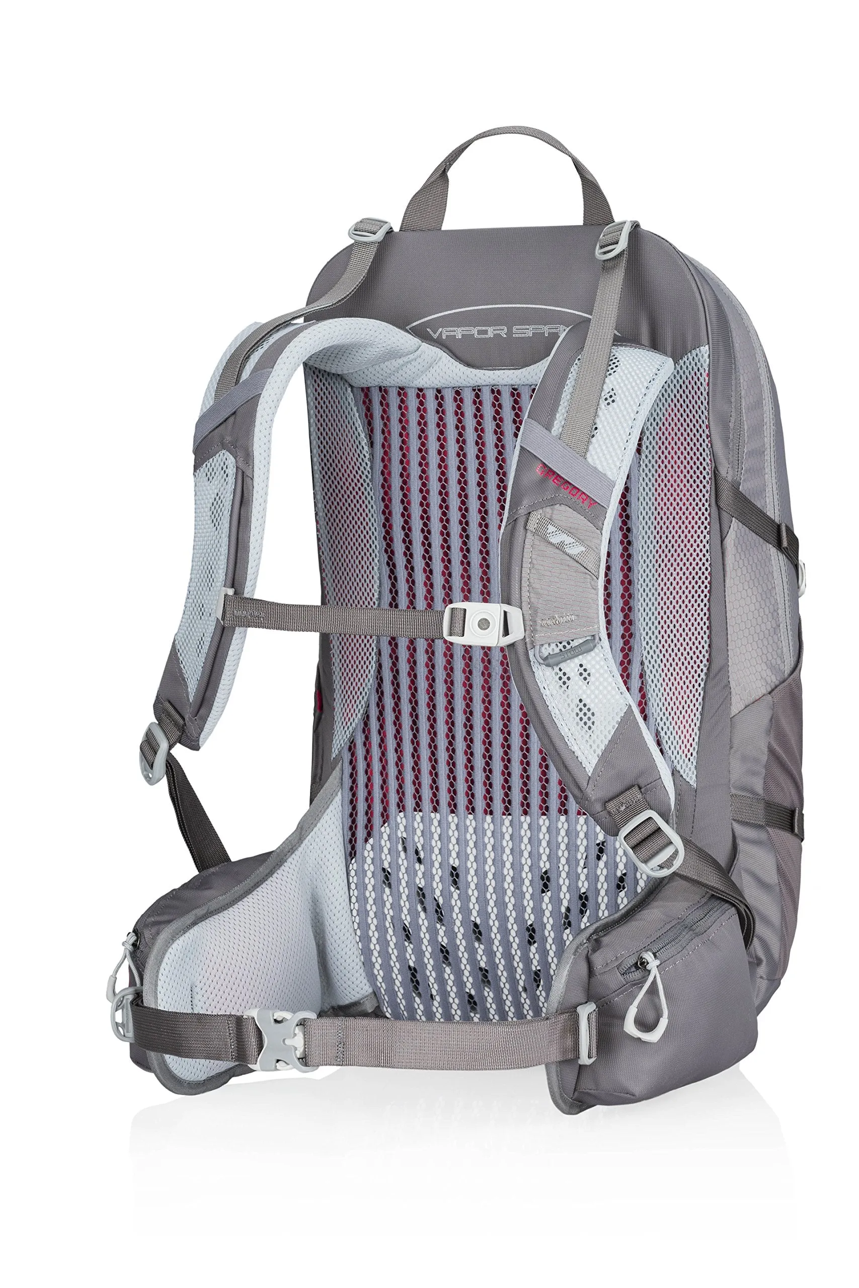 Gregory Mountain Products Juno 25 Liter 3D-Hydro Women's Daypack, Equinox Grey, One Size