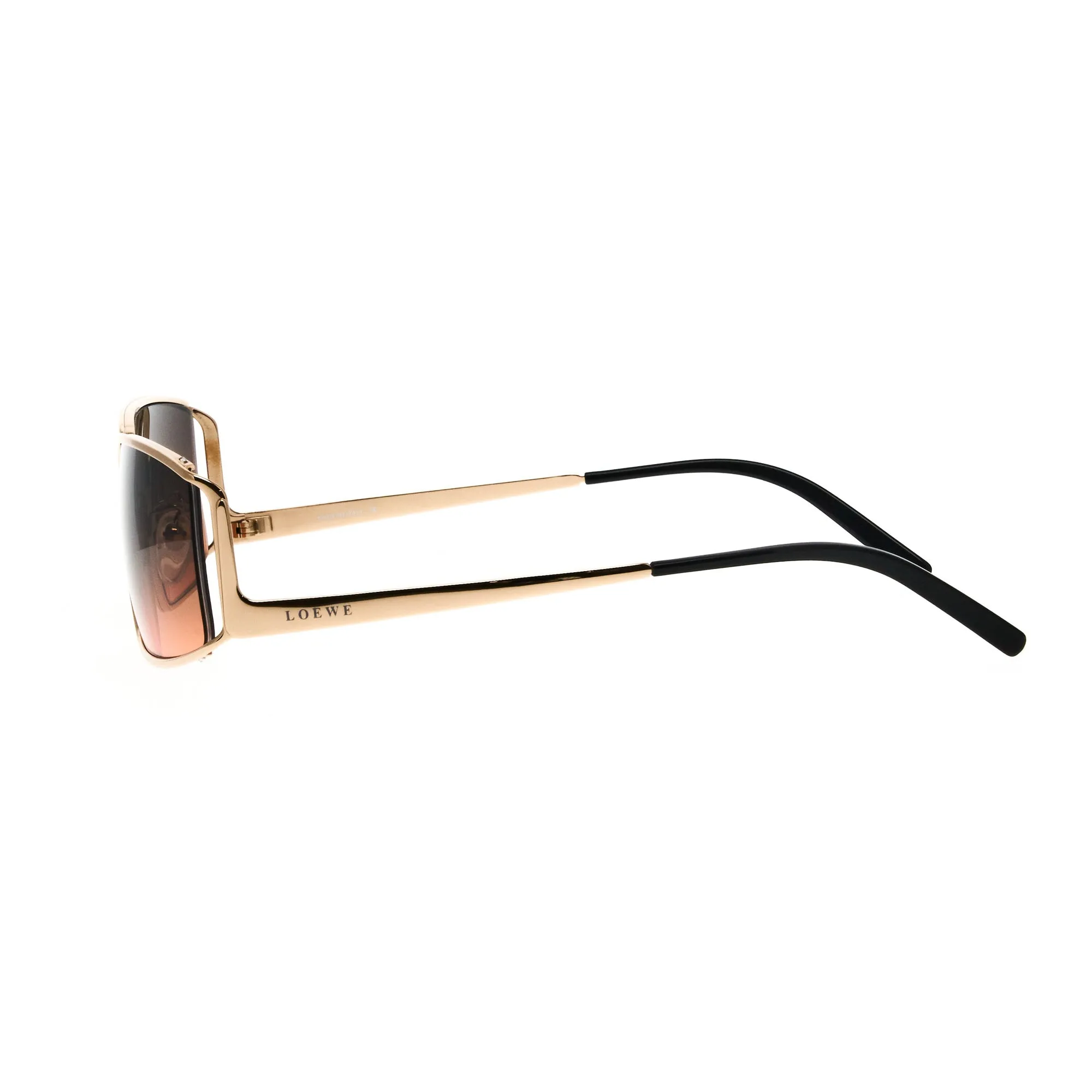 Loewe SLW100 300X