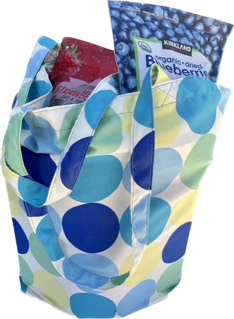 TS - Big Dot Travel Shopper